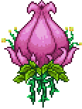 Plantera_