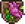 Trofeuplantera