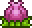 Bulbo de Plantera